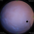 1588171235.jpg