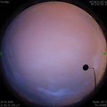 1588171370.jpg