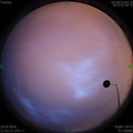 1588171430.jpg