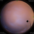 1588171686.jpg