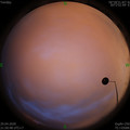 1588171866.jpg
