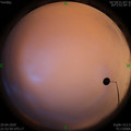 1588172001.jpg