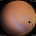 1588172181.jpg