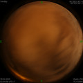 1588187083.jpg