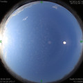 1588208079.jpg