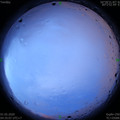 1588282545.jpg