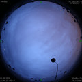1588344406.jpg