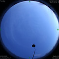 1588431242.jpg