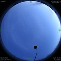 1588431498.jpg