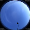 1588431798.jpg