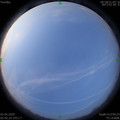 1588459351.jpg