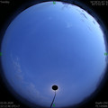 1588518796.jpg