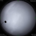 1588560171.jpg