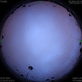 1588604113.jpg