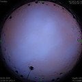 1588604458.jpg