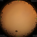 1588606454.jpg