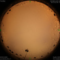 1588606514.jpg