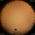 1588606604.jpg