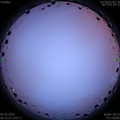 1588628064.jpg
