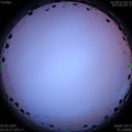 1588628094.jpg