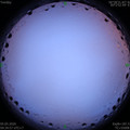 1588628124.jpg