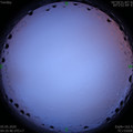 1588628169.jpg