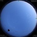 1588689294.jpg