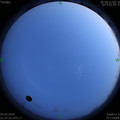1588689490.jpg