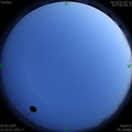1588689850.jpg