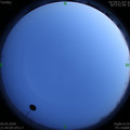 1588689910.jpg