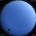 1588689970.jpg