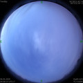 1588712931.jpg