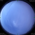 1588713081.jpg