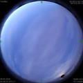 1588885141.jpg