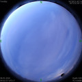 1588885411.jpg