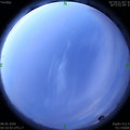 1588885876.jpg