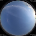 1589027726.jpg