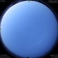 1589146539.jpg