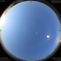 1589154238.jpg