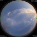 1589292501.jpg