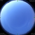 1589316813.jpg