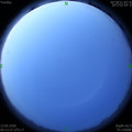 1589318044.jpg