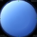 1589318164.jpg