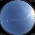 1589460990.jpg