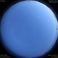 1589468043.jpg