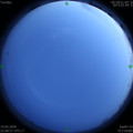 1589468959.jpg