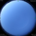 1589492040.jpg