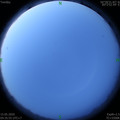 1589492175.jpg