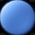 1589492295.jpg