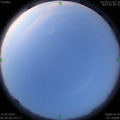 1589493631.jpg